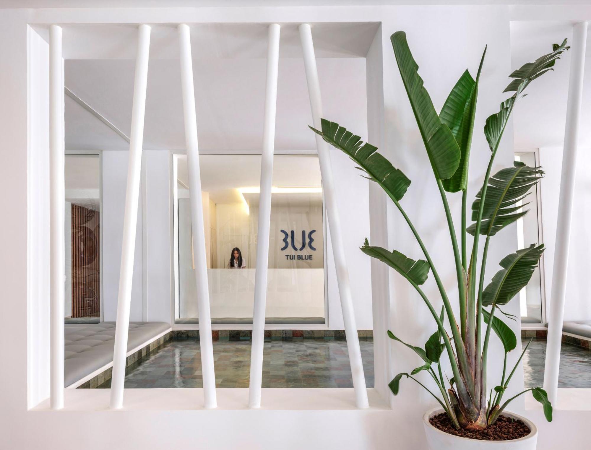 Tui Blue Palm Beach Al-Hammamat Bagian luar foto